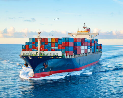 輸出入貿易および国際連携